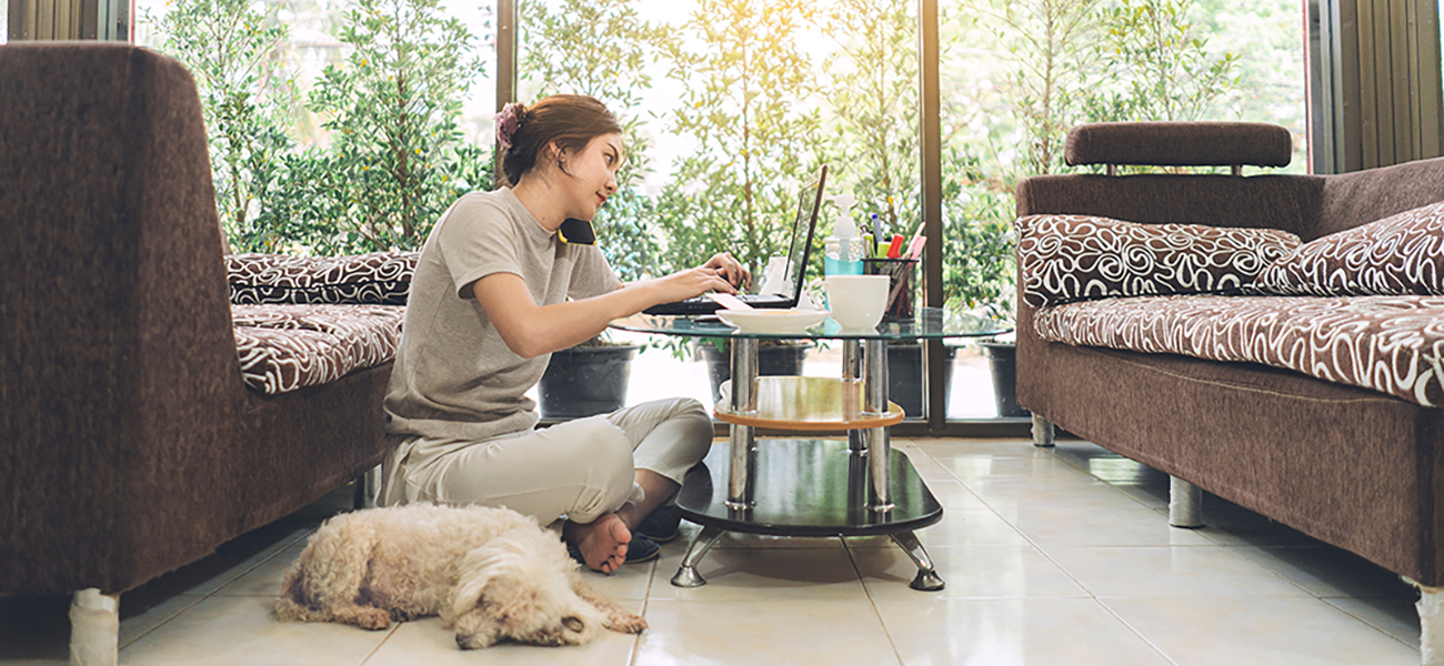 Working from home on phone and laptop