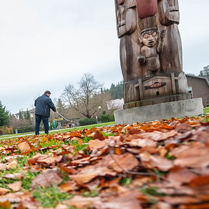 Raking Leaves