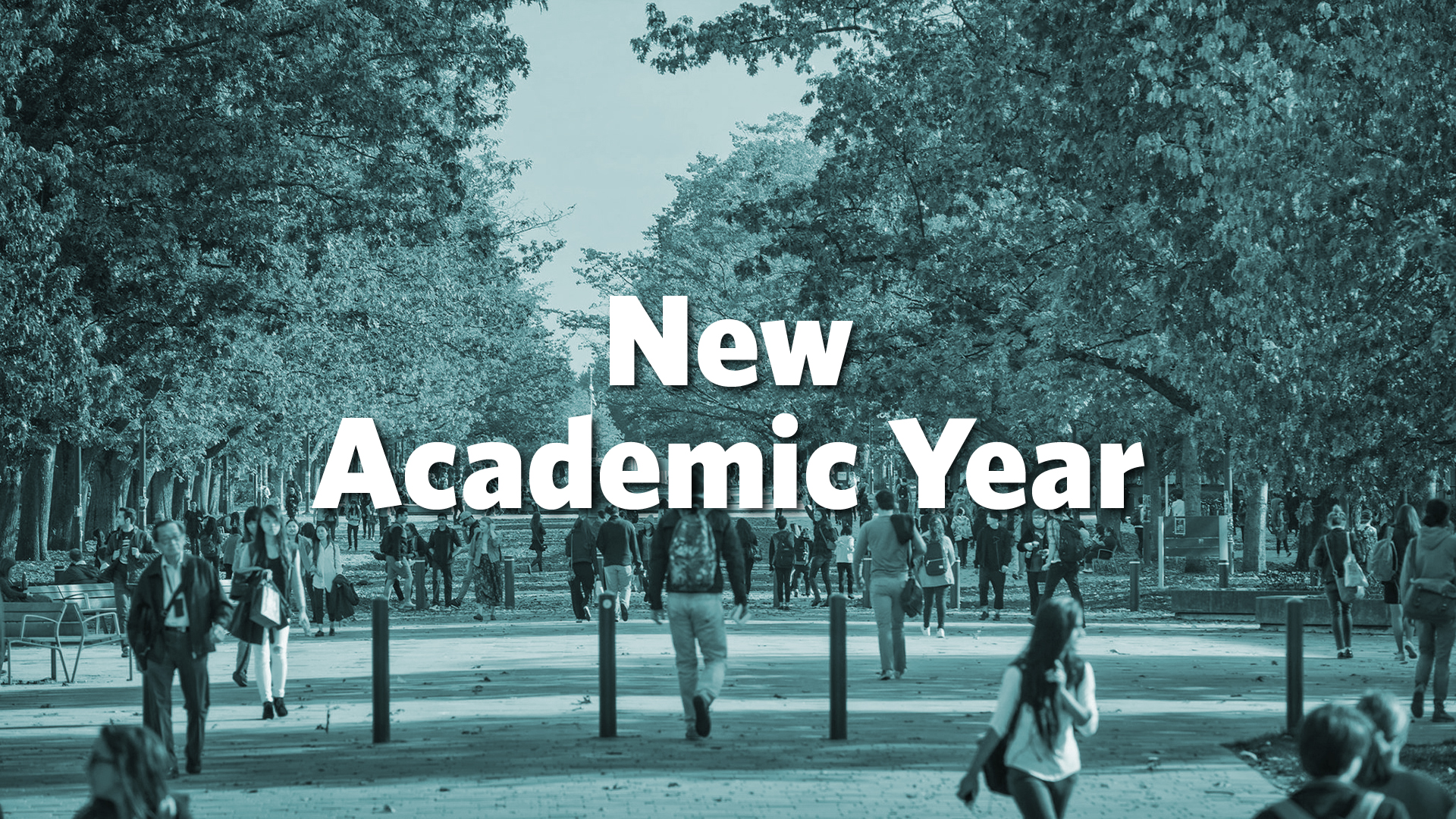 New Academic Year - Quiz