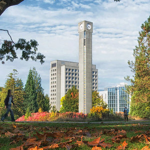Clock Tower