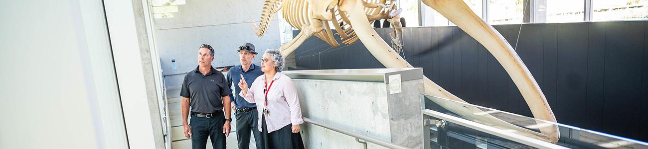 Beaty Biodiversity Museum